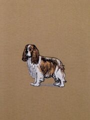 A picture of a King Charles Spaniel dog on a tan background.